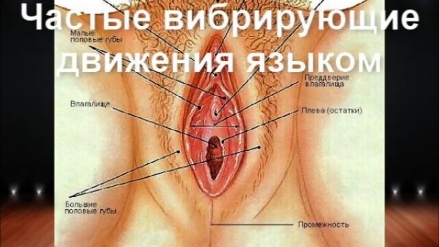 Как правильно делать куни ,оргазм, анальный секс и маструбация