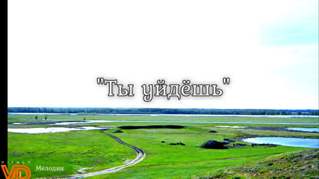 "Ты уйдёшь" ("Комиссар"), гармонь. Виталий Дружинин