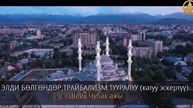 НЕ РАЗДЕЛЯЙТЕСЬ, ТРАЙБАЛИЗМ, НАЦИОНАЛИЗМ, АСАБИЯ. (важный урок). Шейх Чубак ажы