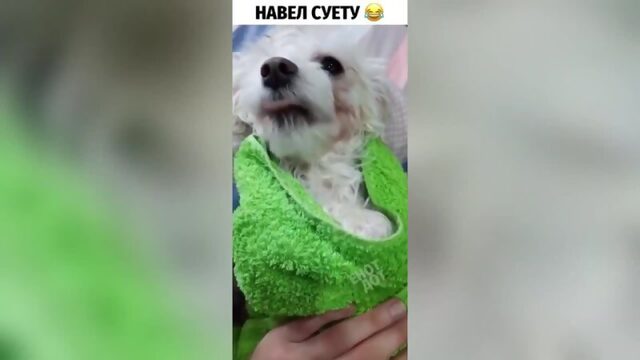 Максим Сергеевич не в восторге