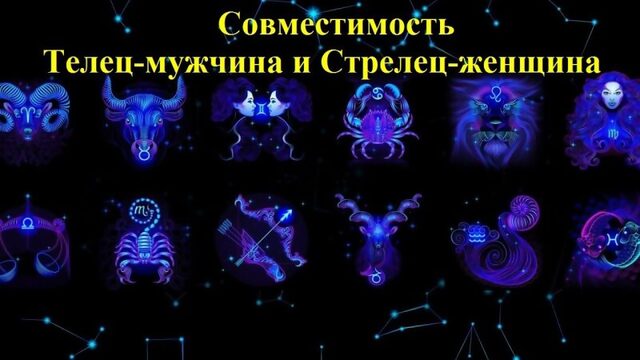 Совместимость Телец-мужчина и Стрелец-женщина