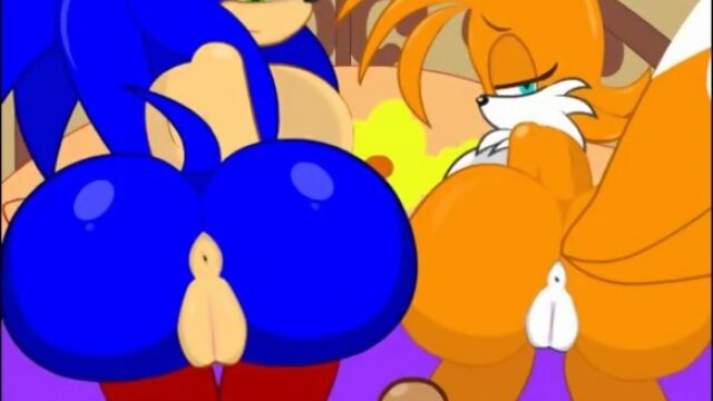 Sonic Transformed 2 fun with tails and vanilla