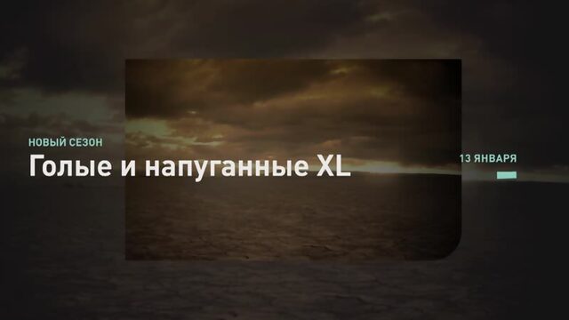 Голые и напуганные XL